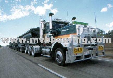 Conveyance Bearings