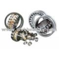 Dentel Bearings
